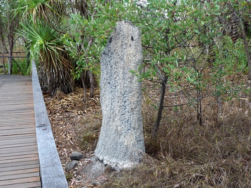 Magnetic Termite Mounds