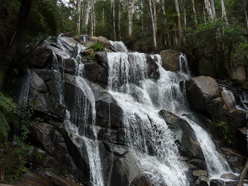 Toorongo Falls
