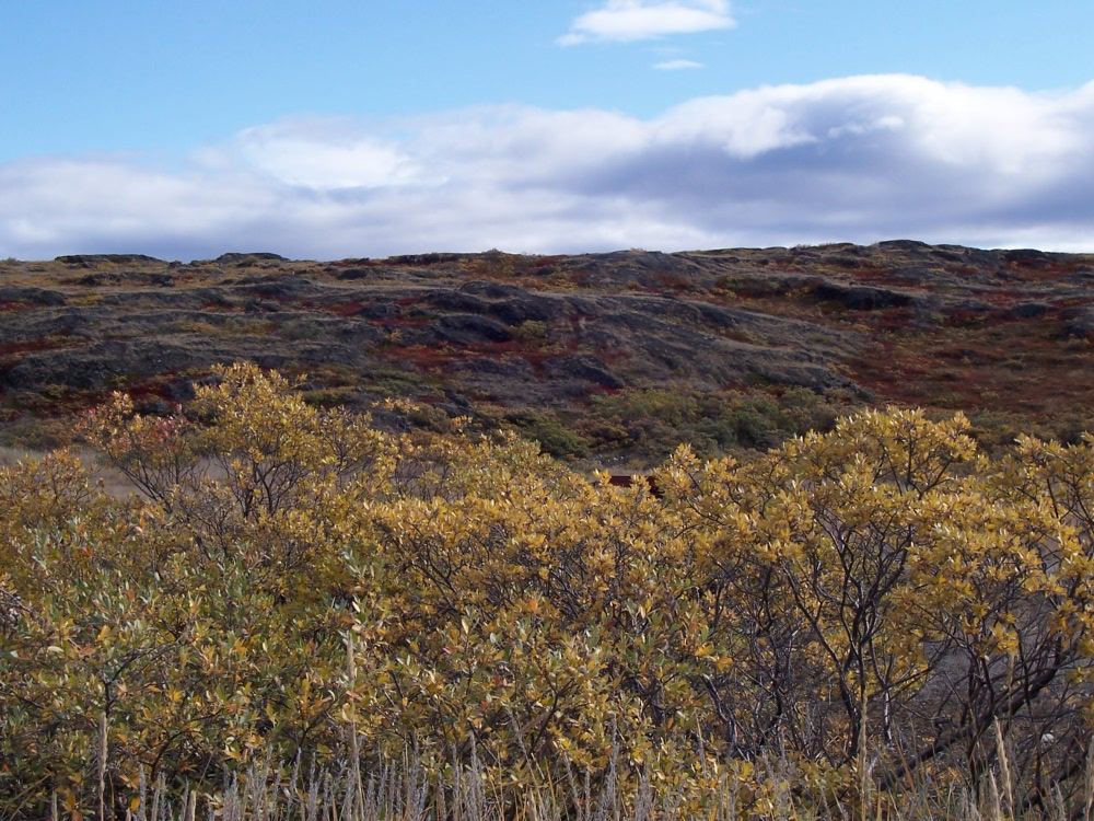 Kangerluussuaq