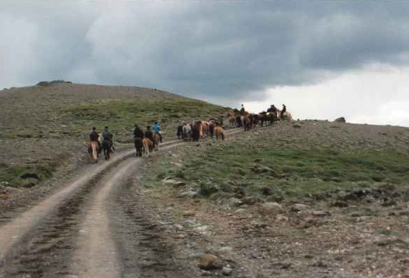 Pferdetrieb am Borgarvirki