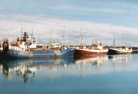 &THORN;orl&aacute;ksh&ouml;fn