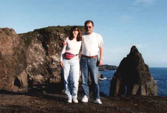 Reykjanesvit&iacute;