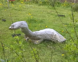 Treibholzfigur