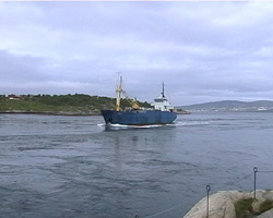 Saltstraumen