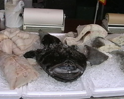 Fischmarkt